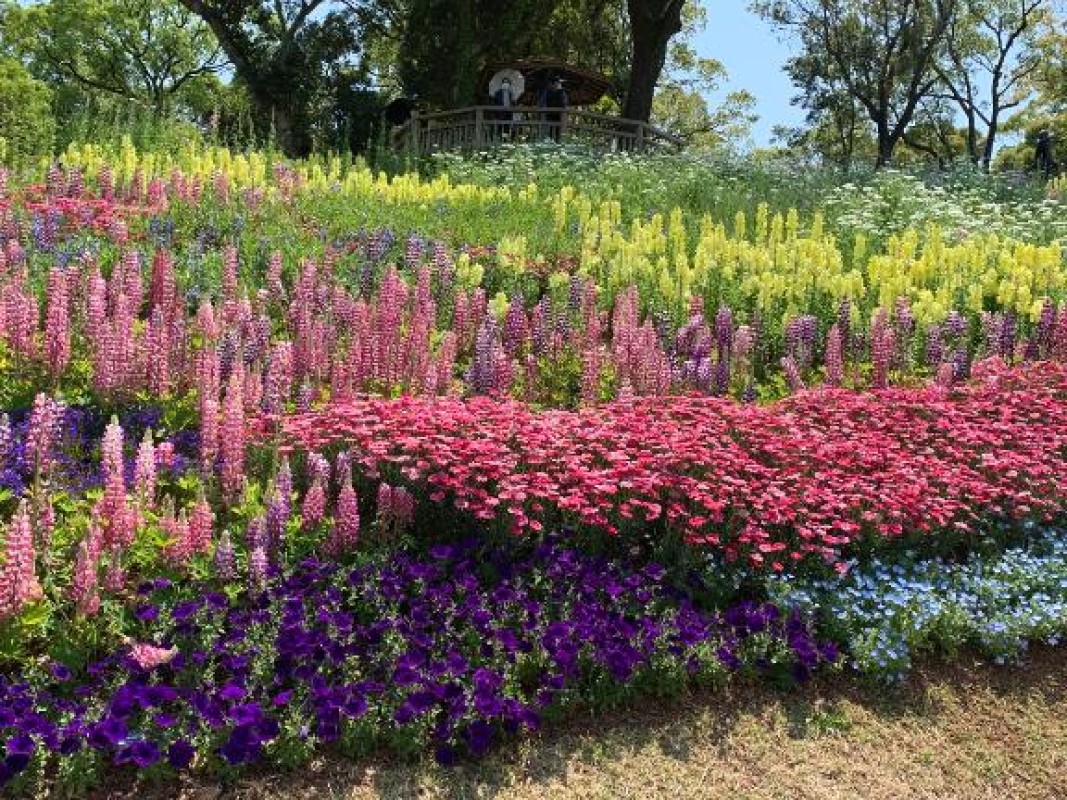 みう[お題]from:本体はめがねさん