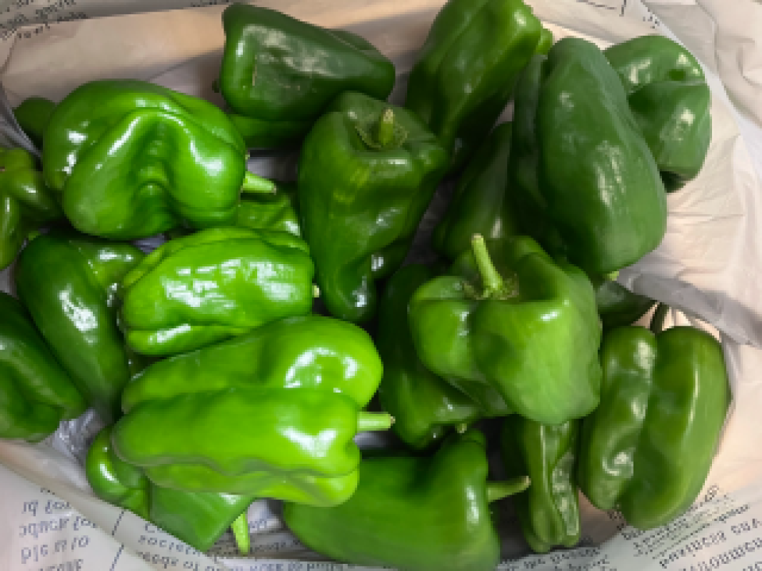 金瓶梅 えりな 週末( ≧∀≦)ノ