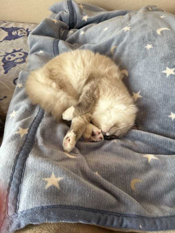 りょうか𝙁𝙧𝙞𝙙𝙖𝙮