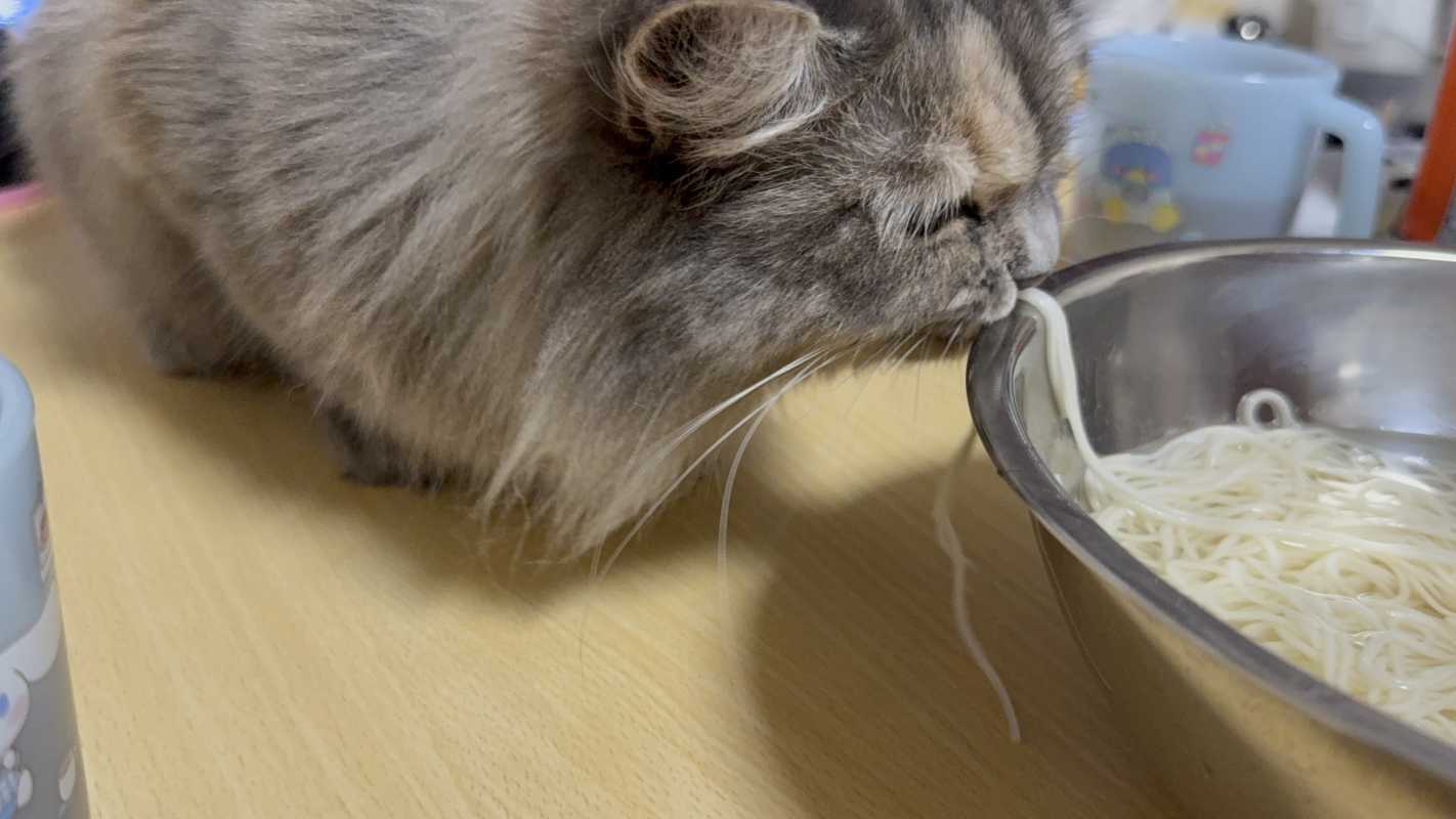 りょうか𝙎𝙖𝙩𝙪𝙧𝙙𝙖𝙮