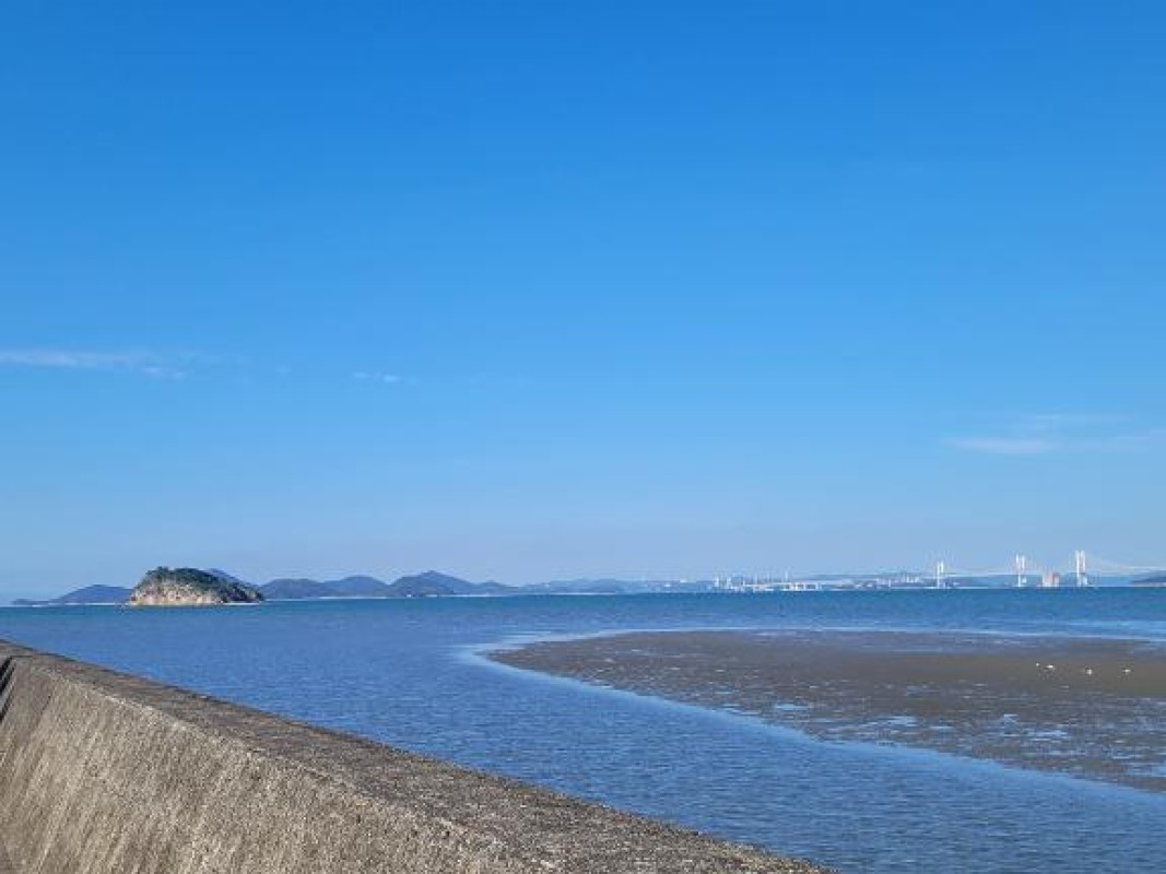 みらい☆スレンダー美BODY到着