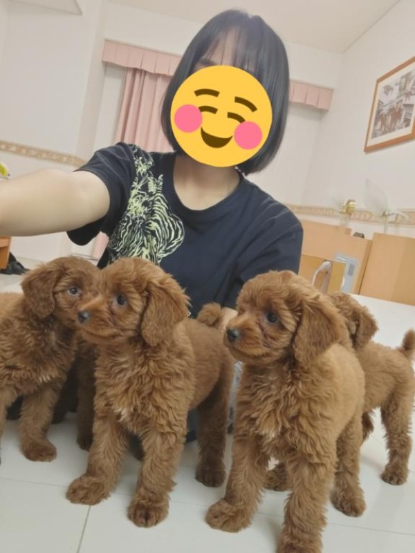 みらい☆スレンダー美BODY[お題]from:次郎さん