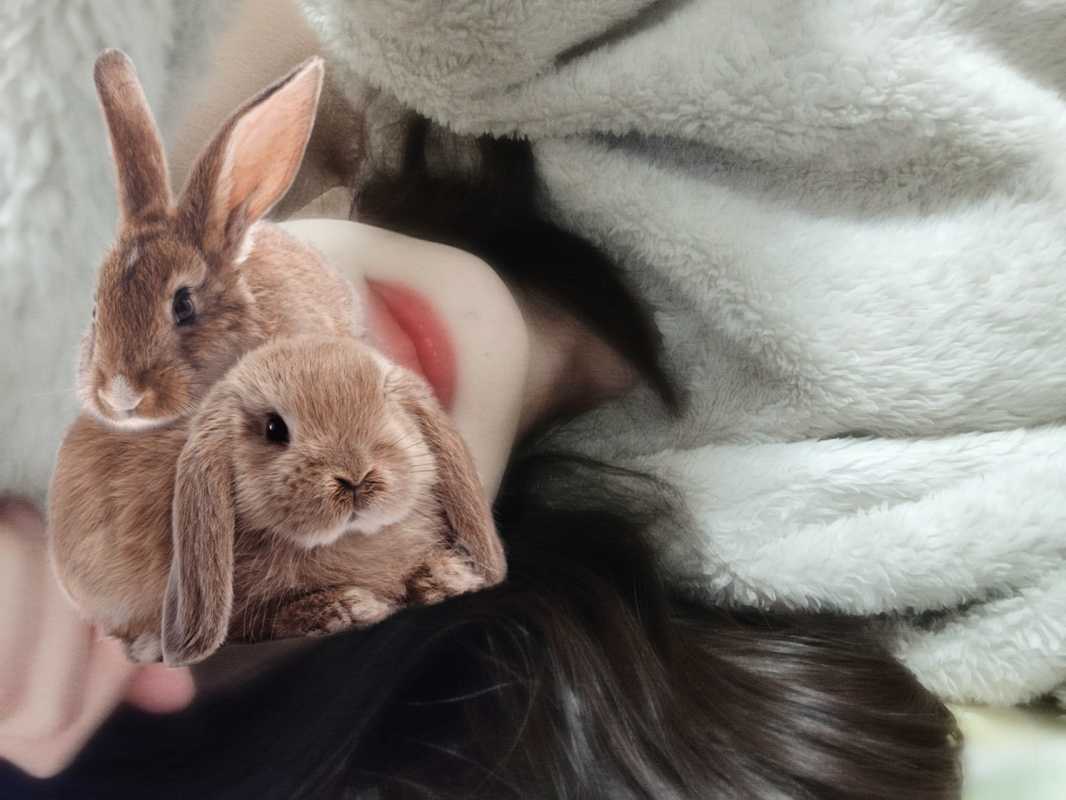 松山メンズエステ　膝麻久庵 広瀬　あおい 明日から🫧*゜