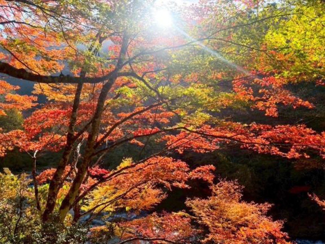 そらそらと山??