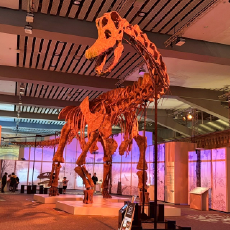 金毘羅ソープ　俺のシンデレラ　必ず見つかる貴方のシンデレラ嬢 つばさ☆キレカワ系少女 本日完売?