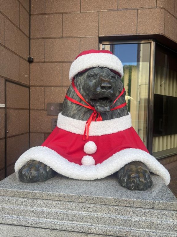 りんな～マット＆M性感～【 コース案内 】【 定期 】