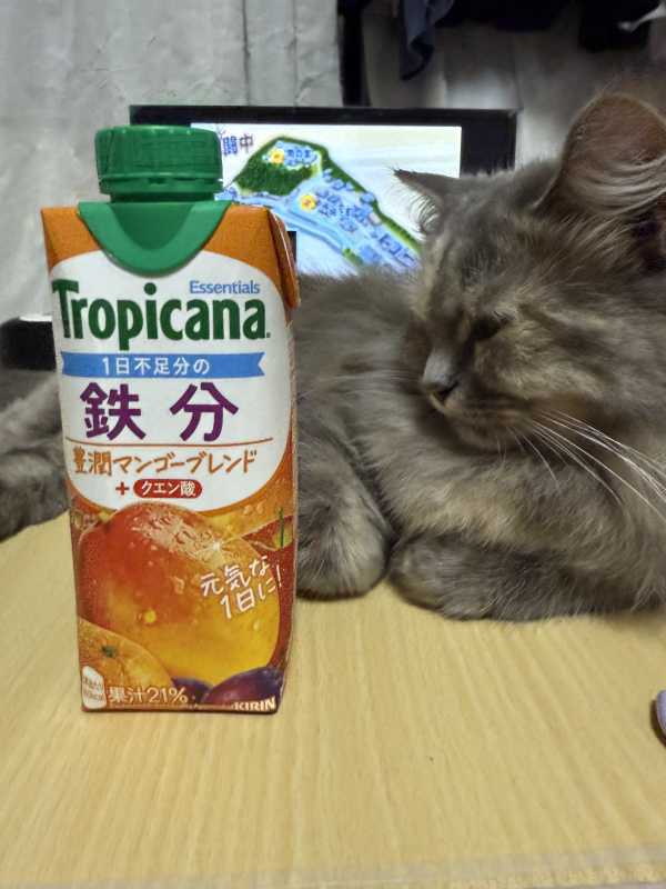 club菜の花 りょうか