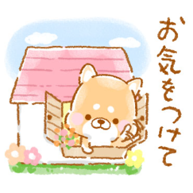 ジャックと豆の木 圭（けい）☆最高級のおもてなし ス◯◯様?