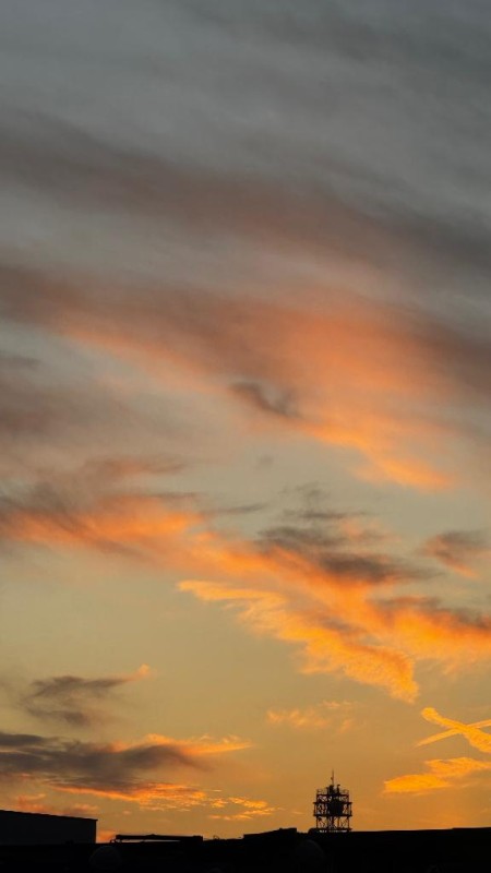 道後しらゆきひめ 及川　れな 今年もあと少し...🎄✨️