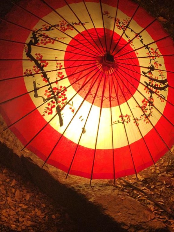 みらい☆スレンダー美BODY???