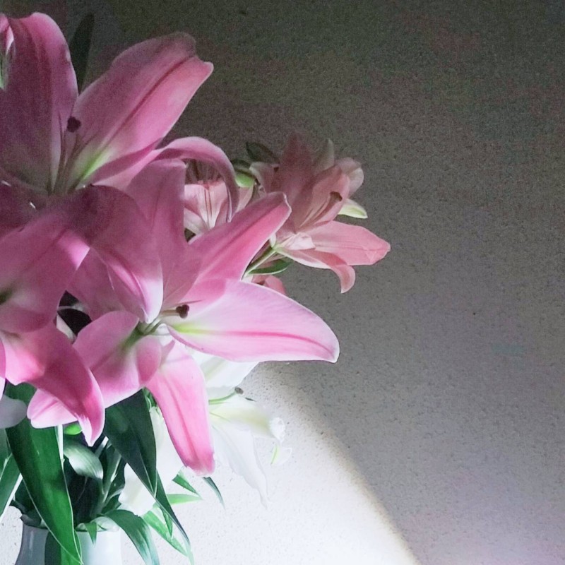 洗体メンズエステ　エリザベス 岡本 ゆか ゆかの花・・・☆