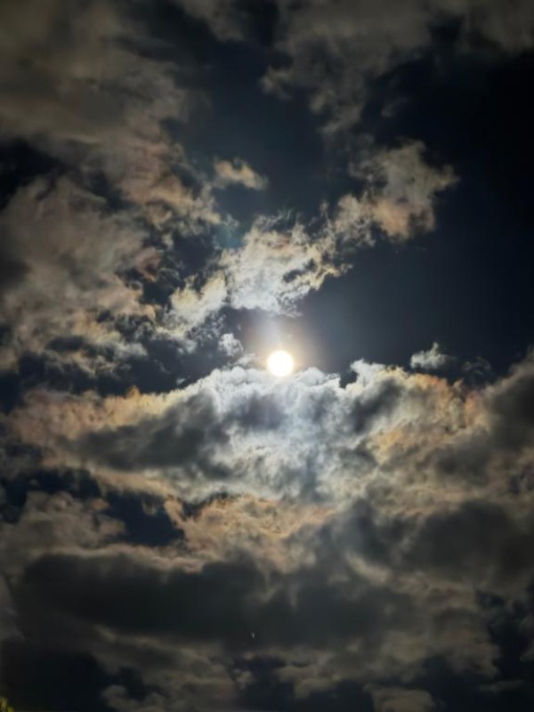 道後しらゆきひめ 及川　れな コールドムーン