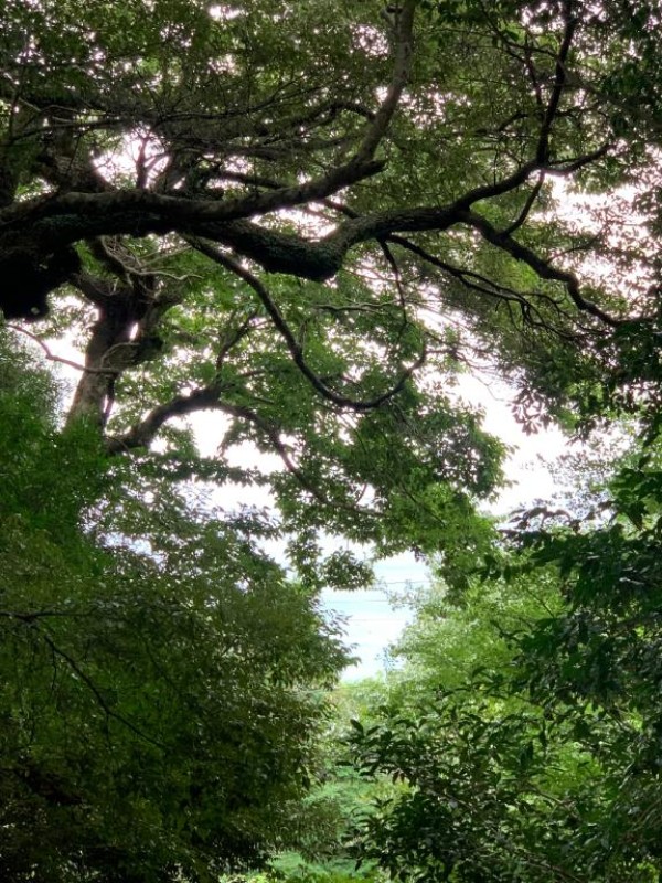 みうおはようございます\(//∇//)\