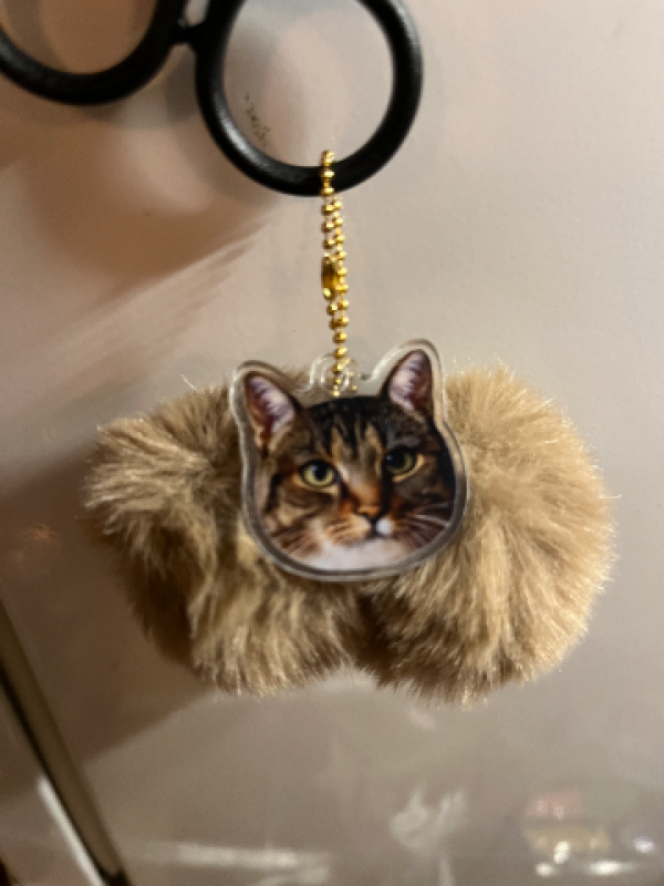 アメイジングビル しおん～M性感～ ふぐり