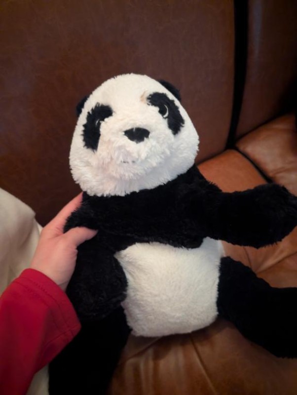 アメイジングビル セイラ～SM～ 開発について