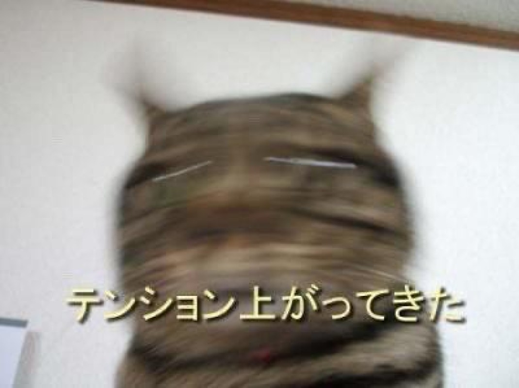 ジャックと豆の木 れお♡誰もが振り返る最高彼女 17時から出勤します?