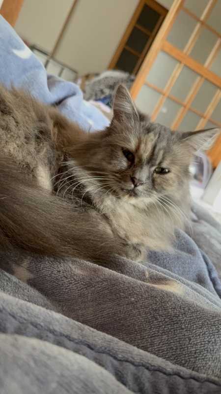 club菜の花 りょうか 𝙏𝙝𝙪𝙧𝙨𝙙𝙖𝙮