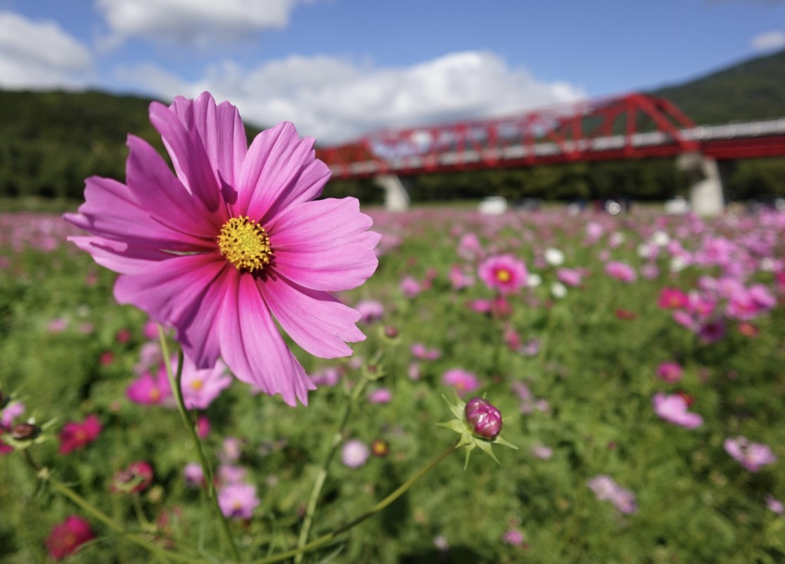 あいあいです❕🤍