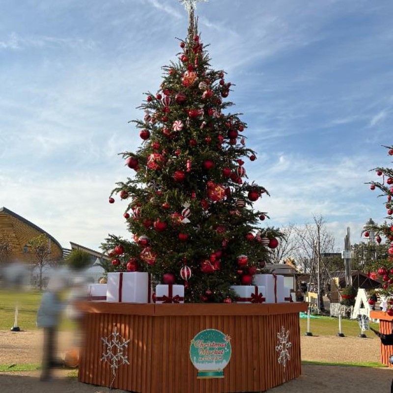 愛ドル学園　☆制服着たまま部☆ はる☆完全業界未経験 ??はるの日常??