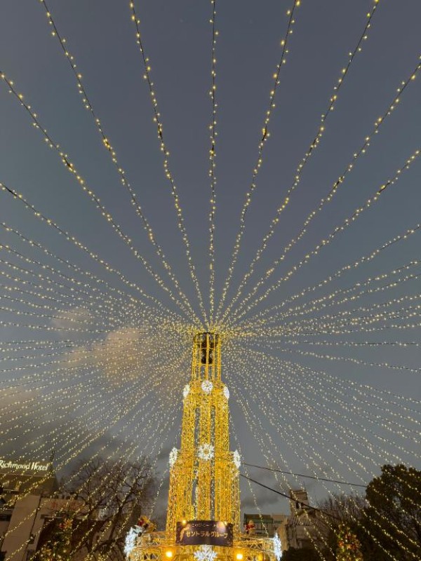 みうおはようございます\(//∇//)\