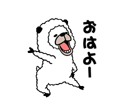 金瓶梅 いろは 今日も元気?