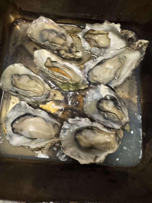 club菜の花 さとみ さとみです👱‍♀️