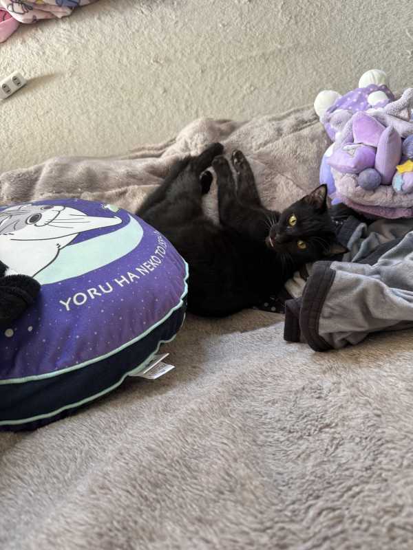 club菜の花 りょうか 𝙈𝙤𝙣𝙙𝙖𝙮