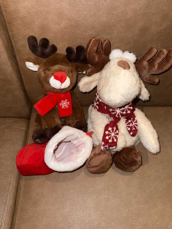 club菜の花 りょうか