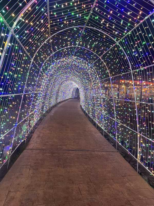 U-S-A 霞　なぎさ 𝙈𝙤𝙣𝙙𝙖𝙮⭐️