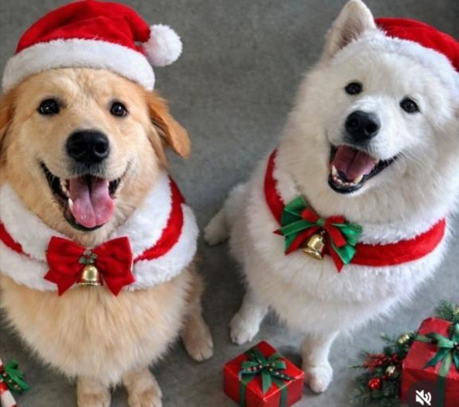 みらい☆スレンダー美BODYありがと?