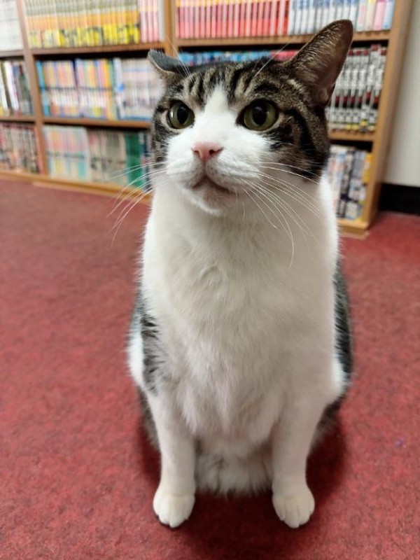 りんな～マット＆M性感～26日から行くよー??