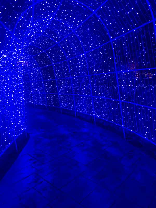 霞　なぎさイベント🎪