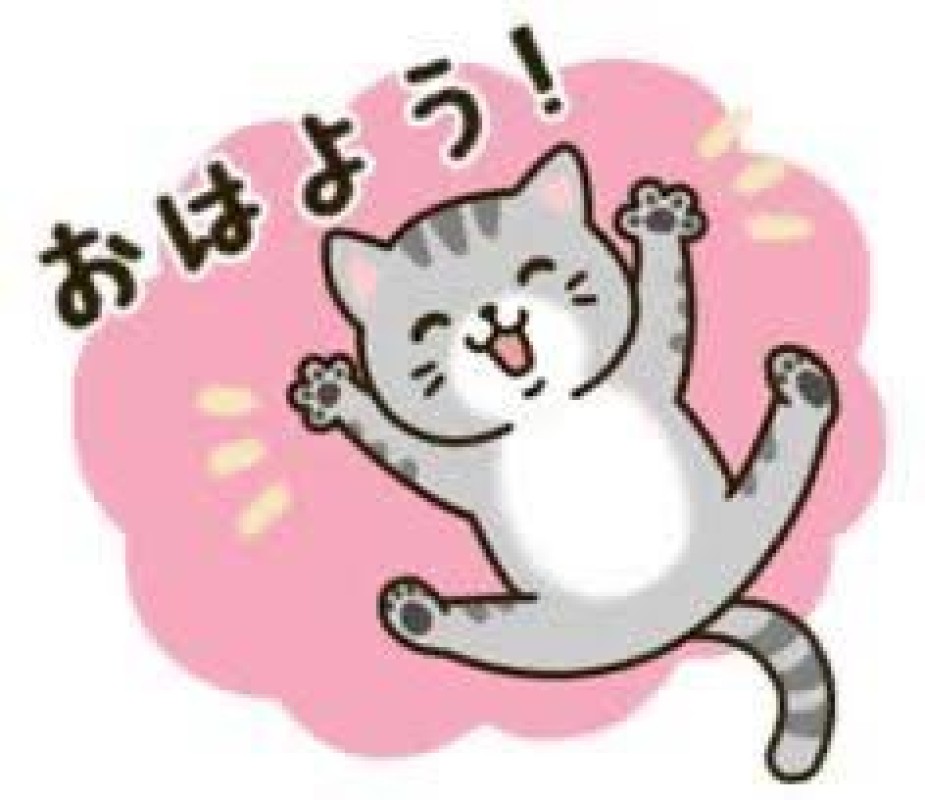 るなおはようございます☆