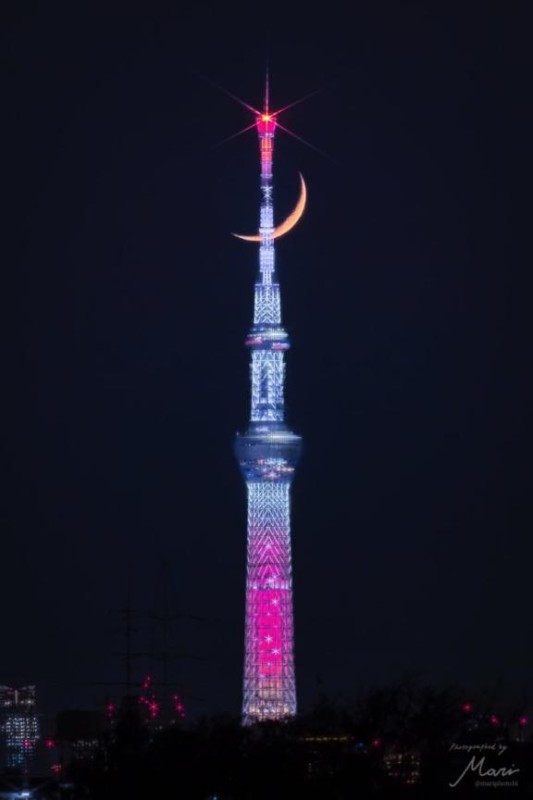 ジャックと豆の木 ゆか☆元AV女優の輝 ぎゃー！頭4も買ってれば