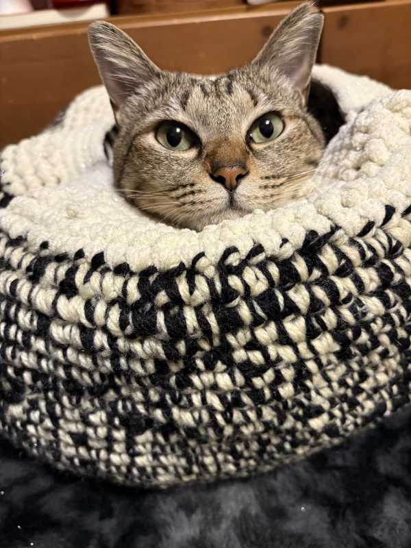 あいあいです💖