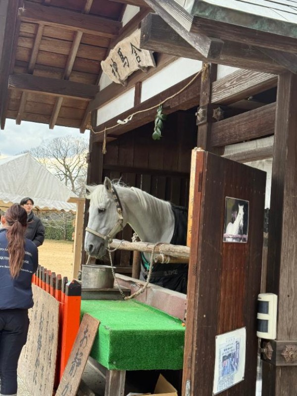 白川　つづり本日13時からに変更