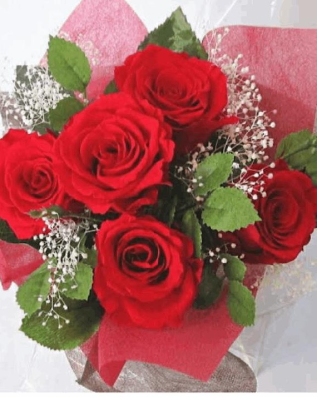 みれいありがとう??