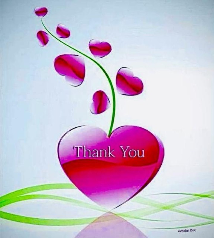 しの【ロイヤルOP対応】ありがとうございました