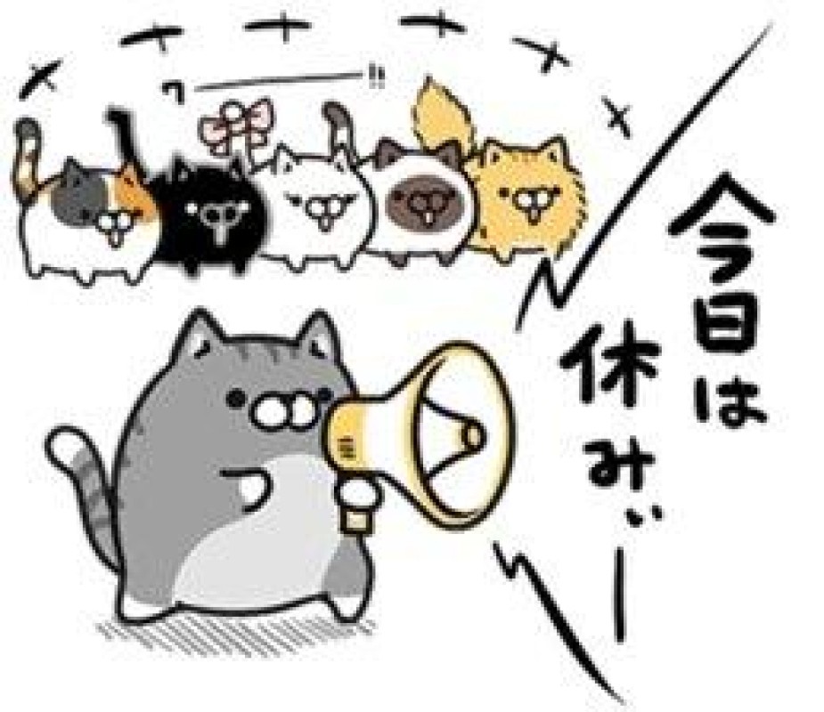 圭（けい）☆最高級のおもてなし今日の晩ご飯は......