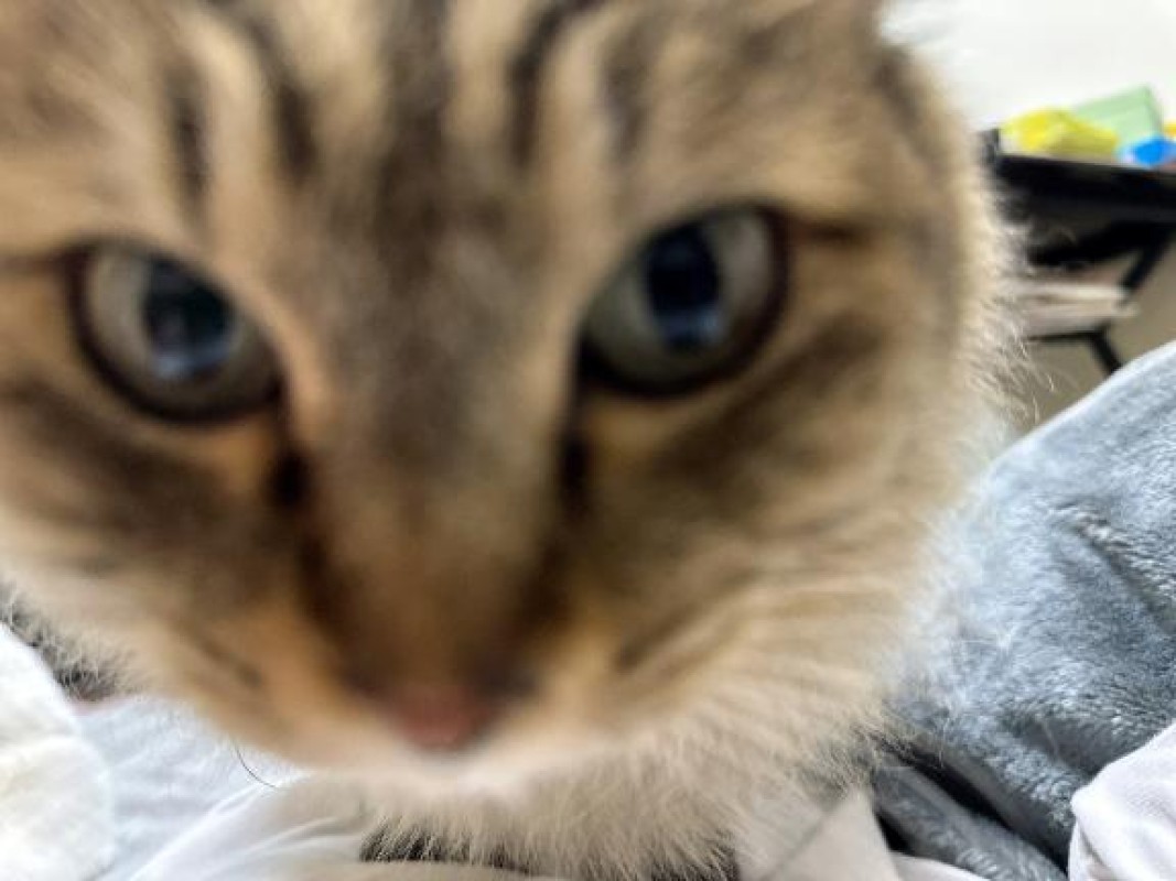 アメイジングビル れん～マット＆ヘルス～ ?すみません