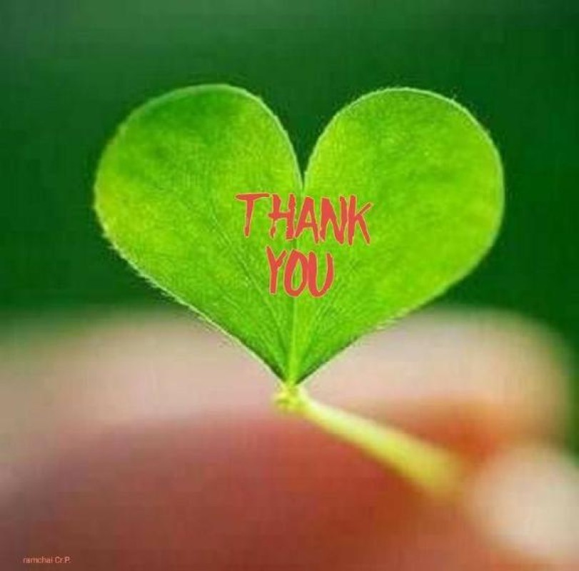 しの【ロイヤルOP対応】ありがとうございました