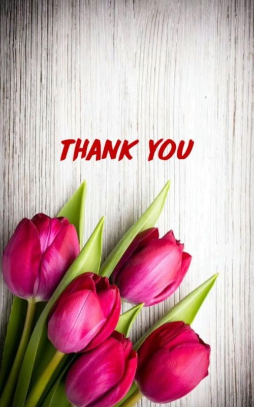 しの【ロイヤルOP対応】ありがとうございました