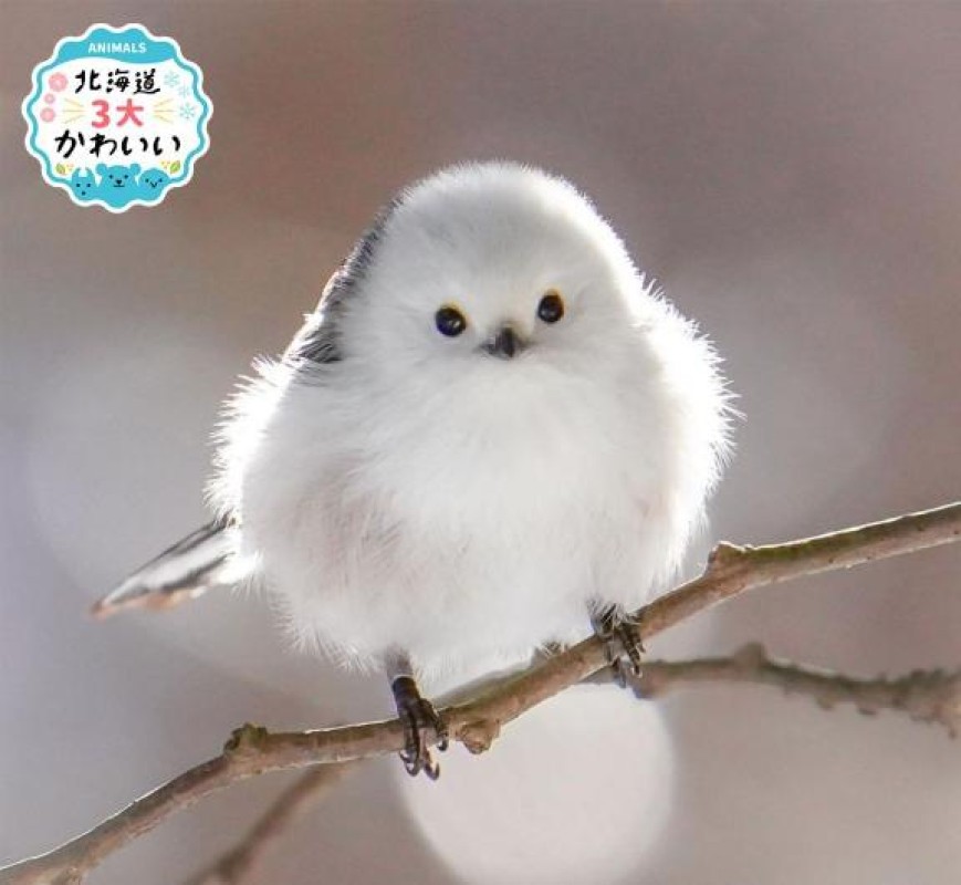 金瓶梅 さとみ 【お礼写メ日記】