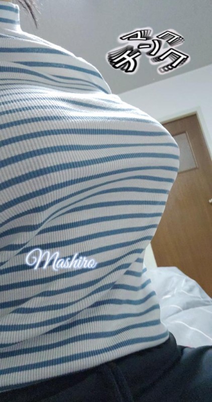 雪鍋　ましろ【プレミア】シマシマがすき