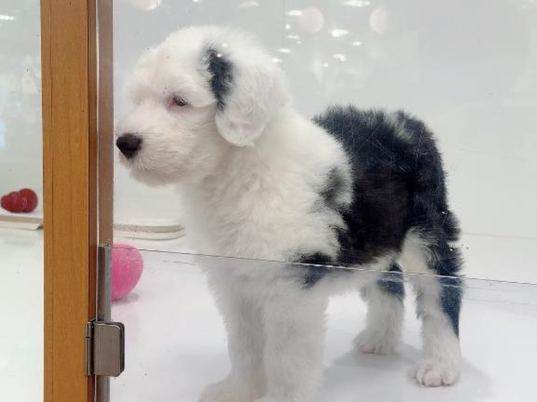 りんな～マット＆M性感～[お題]from:トイプーさん