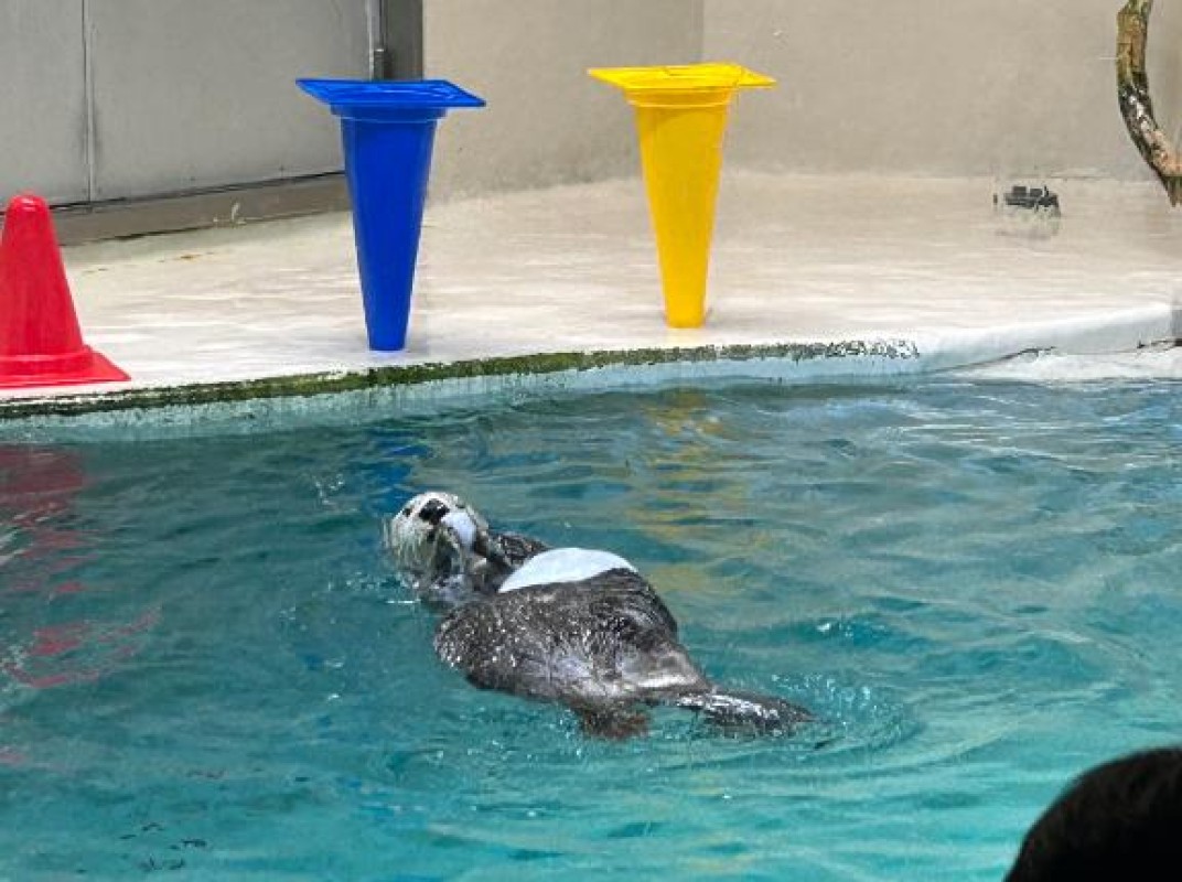 金瓶梅 寧々 ありがとうございました?