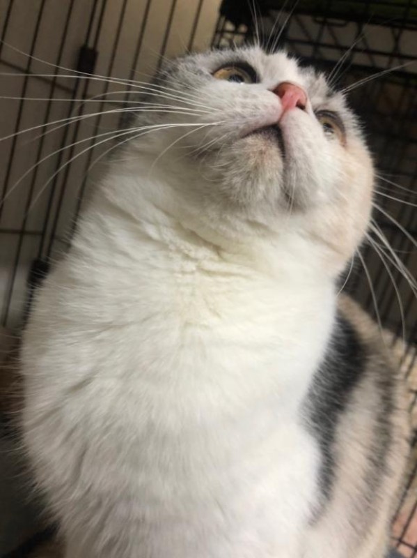 金毘羅ソープ　俺のシンデレラ　必ず見つかる貴方のシンデレラ嬢 りあ♡バニーガールの夢を見る♡ 今日あかん