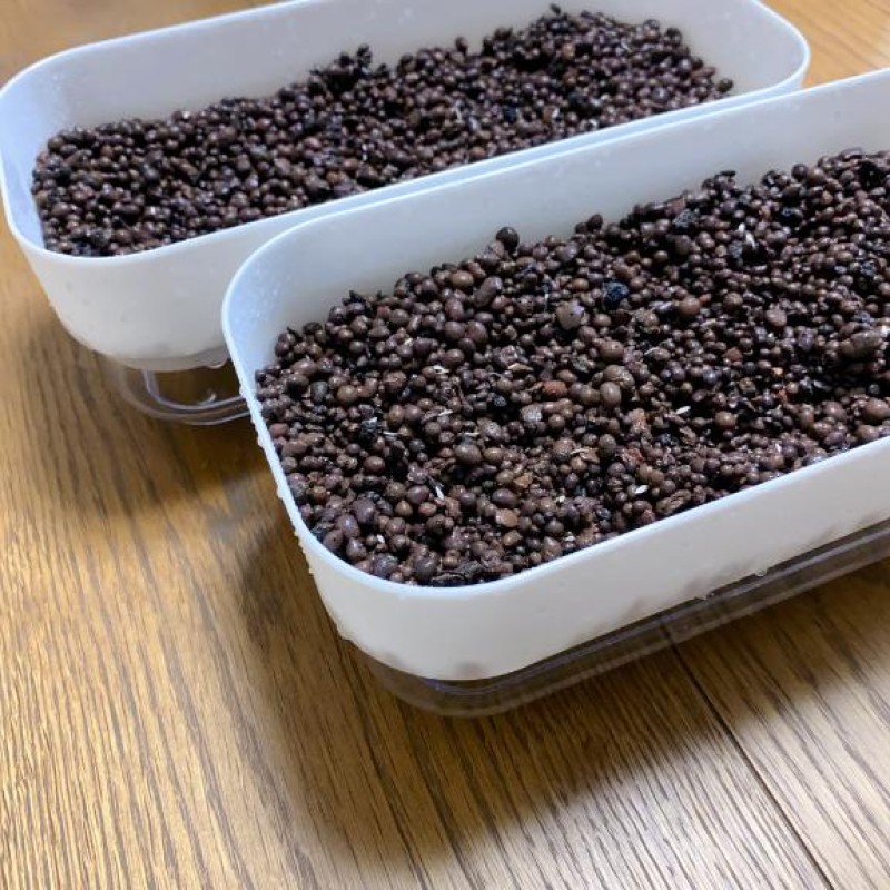 夢宮 あのん☆理想の女性像野菜通信?