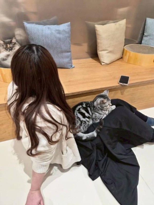 高松しらゆき姫 あるか 本当に久しぶり??