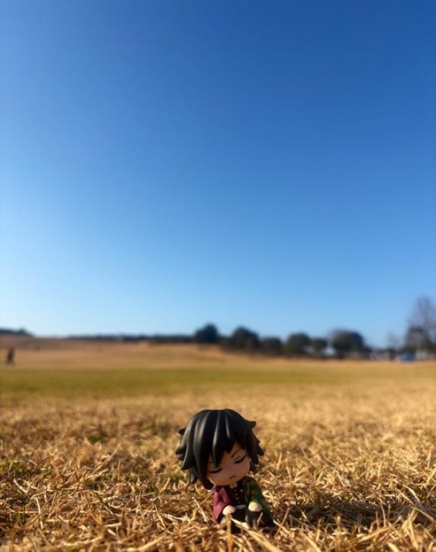 高松しらゆき姫 らら 陳謝｡ﾟ(ﾟ´ω`ﾟ)ﾟ｡